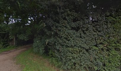 Cheek to Cheek Golden Retrievers, Eleveur de Chiens à Saint-Philbert-des-Champs