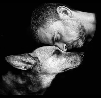 Centre Dogspirit Dresseur De Chiens à Tendon