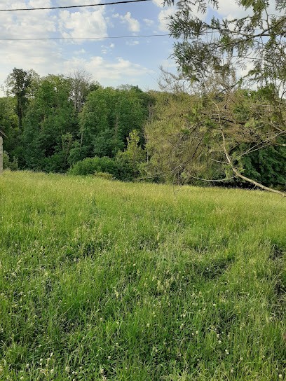 pension animaliere chien chat rongeur, Pension pour Chiens à Port-sur-Saône