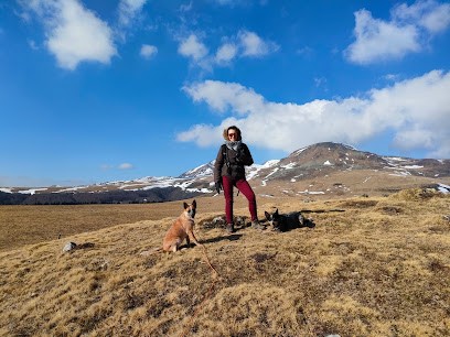 Cani'Bonheur, Dresseur de Chiens à Saint-Branchs