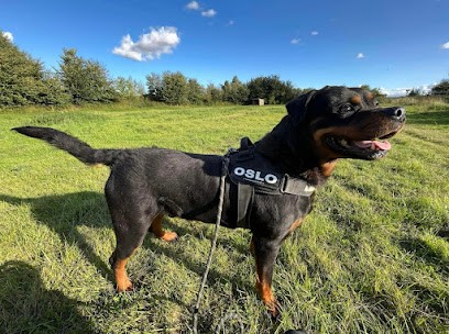 Ferme de tit’ours, Pension pour Chiens à Combon