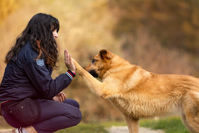 Motiv'canine | Éducatrice Comportementaliste Canin & Petsitter, Dresseur De Chiens à Aix-en-Provence