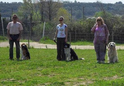 Dressage Canin Nicolas Mora, Dresseur de Chiens à Poussan