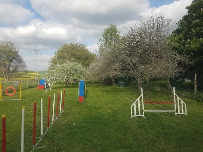 Canal truffe, Dresseur de Chiens à Sognolles-en-Montois