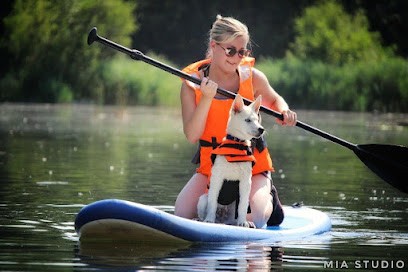 Eduk ton chien, Dresseur de Chiens à Lens