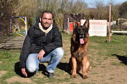 Alain Guerri Educateur Canin Gers, Dresseur de Chiens à Pavie