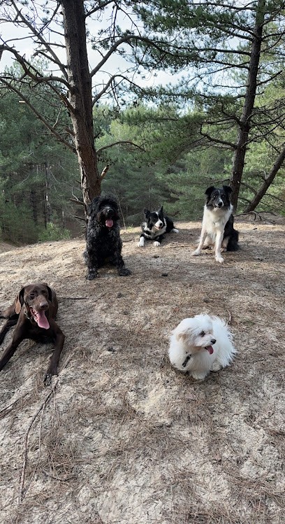 Savoir Parler Chien Mélanie Gobert Educateur Comportementaliste Canin, Dresseur de Chiens à Merlimont