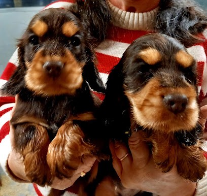 L'aimer c'est l'éduquer, Eleveur de Chiens à Battenans-les-Mines