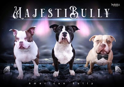 Elevage Des Majestibully, Eleveur de Chiens à Billy-Montigny