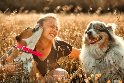 Dog Control, Dresseur de Chiens aux Pennes-Mirabeau