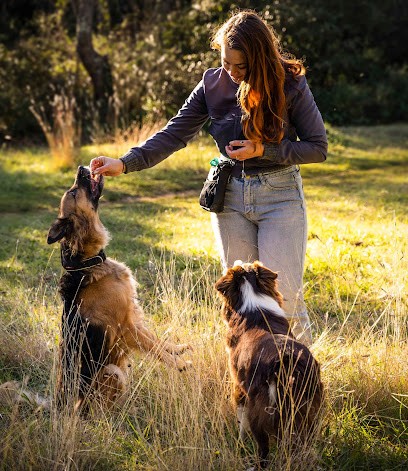 Pup Fiction, Educateur Comportementaliste Canin, Lisa Clair, Dresseur de Chiens à Prades-le-Lez