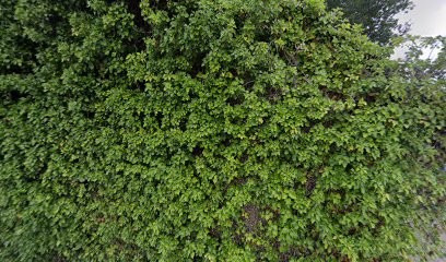 Elevage canin Lecomte Micheline, Eleveur de Chiens à Tessé-Froulay