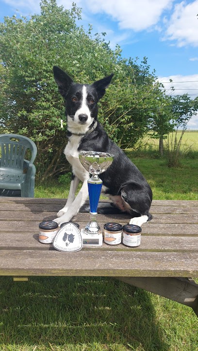 Pension canine du bois aux agneaux, Pension pour Chiens à Vaire-sous-Corbie