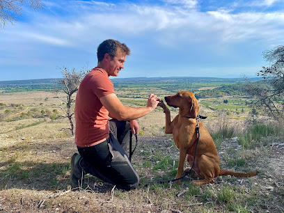 Wisdog - Educateur Comportementaliste Canin Dresseur De Chiens à Blanquefort