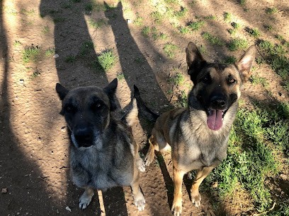 La Pension du Mont-Ventoux, Pension pour Chiens à Mormoiron