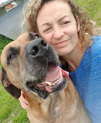 Pension Canine Du Robinard, Pension pour Chiens à Villiers-Charlemagne