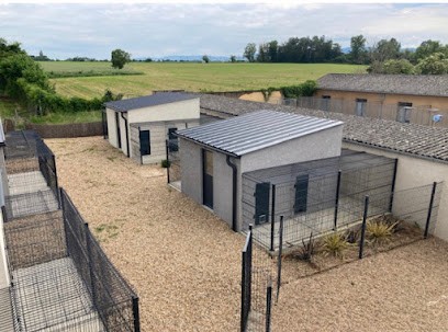 Chenil Des Amaries, Pension pour Chiens à Saint-Georges-de-Reneins