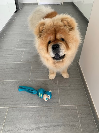 le domaine de fabadel, Eleveur de Chiens à Vire Normandie