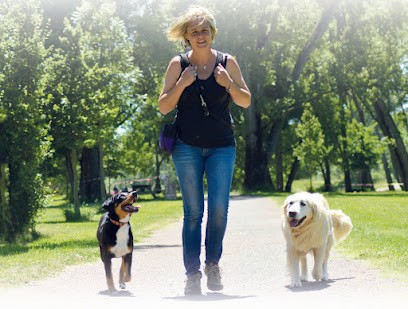 Nat & Dogs, Dresseur de Chiens à Saint-Cyprien