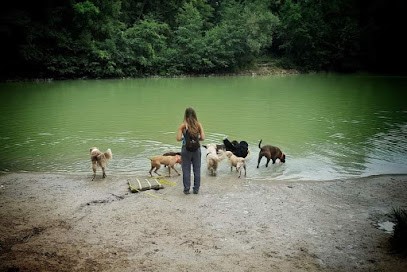4 Pattes En Vadrouille, Pension pour Chiens à Versailles