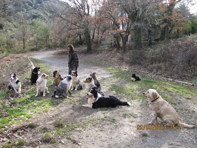 Le Mas Du Lac- Bergers Australiens, Eleveur de Chiens à Saint-Julien