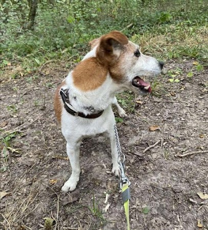 Le Royaume D'héraclès., Pension pour Chiens à Montmort-Lucy