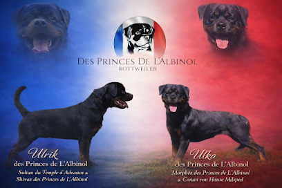 Elevage Des Princes De L'albinol, Éleveur De Chiens à Pont-de-Larn