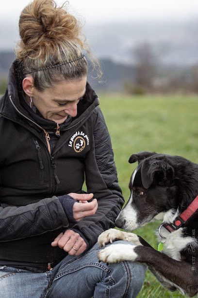 Le Pied à La Patte - éducateur Et Comportementaliste Canin, Dresseur de Chiens à Pavezin