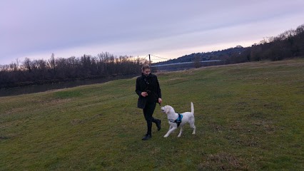 Lien Canin Capucine PATUREL VERNAISON, Dresseur de Chiens à Vernaison