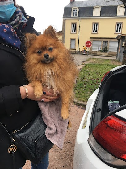 Le maître en laisse éducation canine DE, Dresseur de Chiens à Marmagne