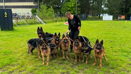 Elevage de la tribu des plaines, Elevage de Berger Allemand chiots LOF à poils courts et longs, Eleveur de Chiens à Forbach