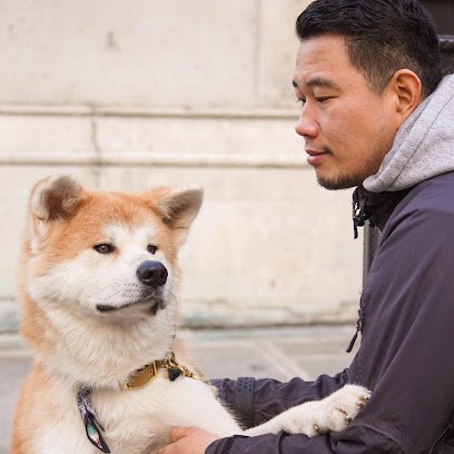 Cynodyssée - Education et Pension Canine, Dresseur de Chiens à Mondreville