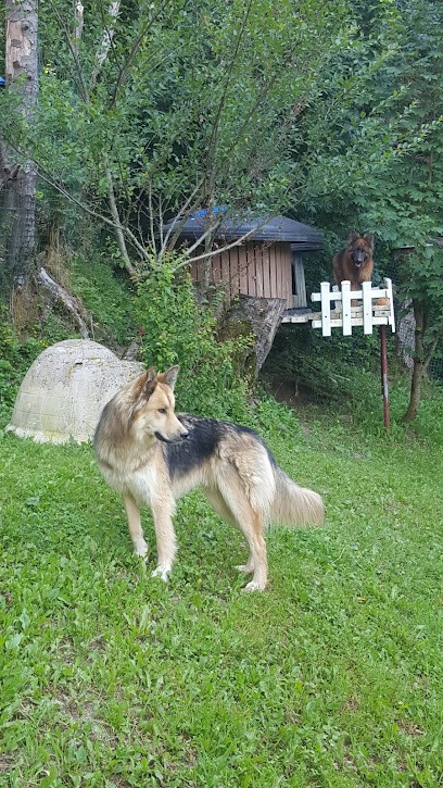 Pension Liberté, Pension pour Chiens à Saxel