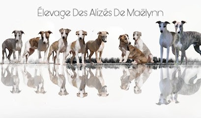 Elevage des Alizés de Maëlynn, Eleveur de Chiens à Prunay-Cassereau