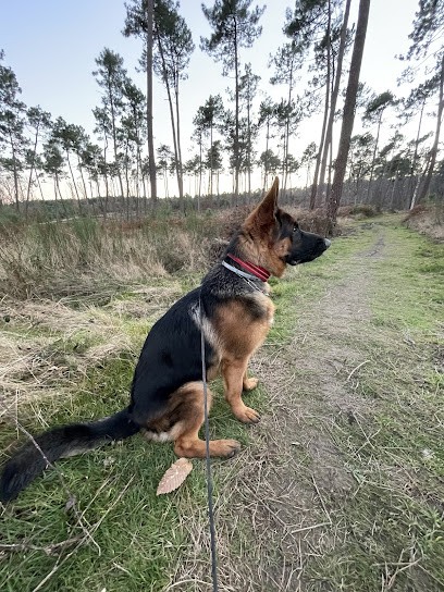 Complex Canin Wallabies, Dresseur de Chiens à Paulhac