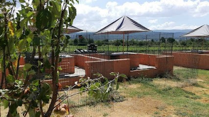 Gaec Les Ocres de Provence, Eleveur de Chiens à Villes-sur-Auzon