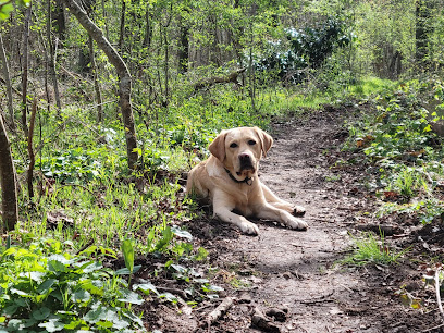 Educpourtous Educateur Comportementaliste Canin, Dresseur De Chiens à Jouy-en-Josas