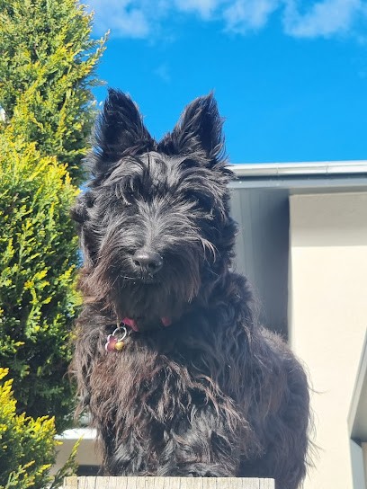 Perrier Laurence, Eleveur de Chiens à Savigny