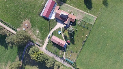 Centre Can Ain Et Fel Ain, Pension pour Chiens à Illiat