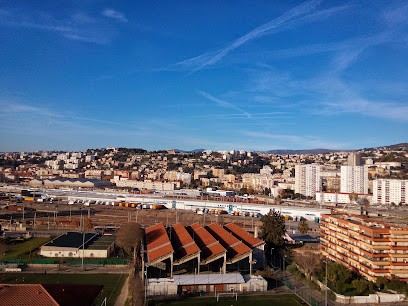 Choco Chihuahua, Eleveur de Chiens à Nice