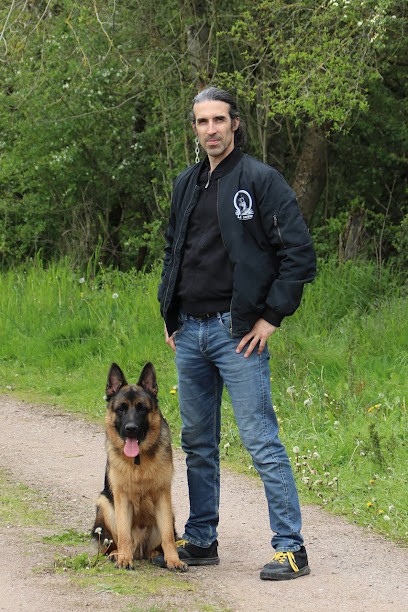 La Voix Canine, Dresseur de Chiens à Vermenton