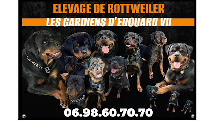 Les Gardiens D'edouard Vii Éleveur De Chiens à Saint-Raphaël