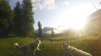 Cen Accueil Format Canin Hte Tarentais, Pension pour Chiens à Bourg-Saint-Maurice