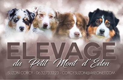 Élevage Du Petit Mont D’eden, Eleveur de Chiens à Blérancourt