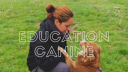 Air Go Educateur Comportementaliste Canin, Dresseur De Chiens à Morangis