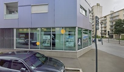 Chien & Complice, Dresseur de Chiens à Rennes