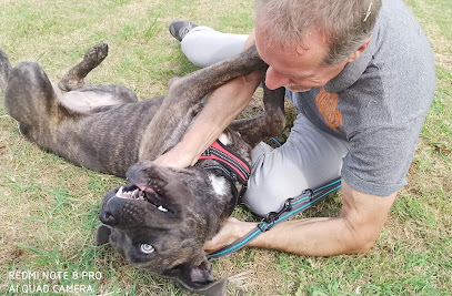 Educateur Comportementaliste Canin - Gilles Maravelle, Dresseur De Chiens à Bagnac-sur-Célé