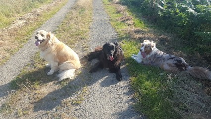 Chez Lili Pension Pour Chien Comme à La Maison, Pension pour Chiens à La Chapelle-Saint-Aubert