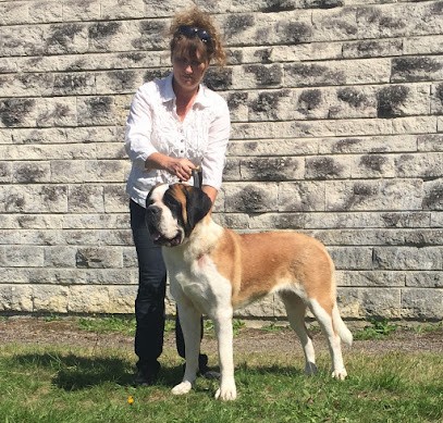 Elevage du Domaine d'Arka, Eleveur de Chiens à Belverne