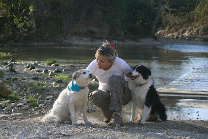 DogSpirit, Dresseur de Chiens à Saussan